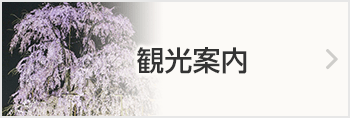 夕食弁当付きプラン