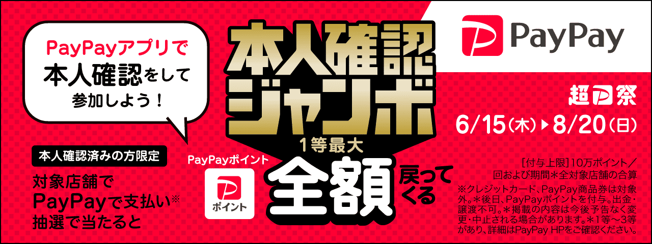 PAYPAY画像